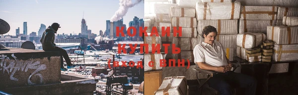 индика Россошь