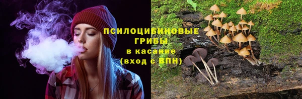 прущие грибы Рославль