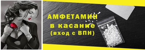 прущие грибы Рославль